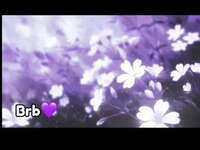 violeta-milleer