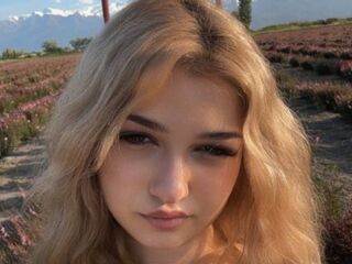 cambabe CloudyFox